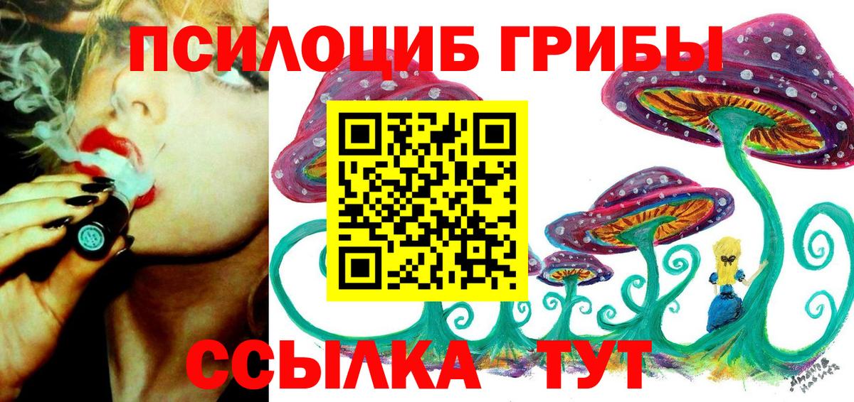 Галлюциногенные грибы GOLDEN TEACHER  Вход с VPN  Алейск 