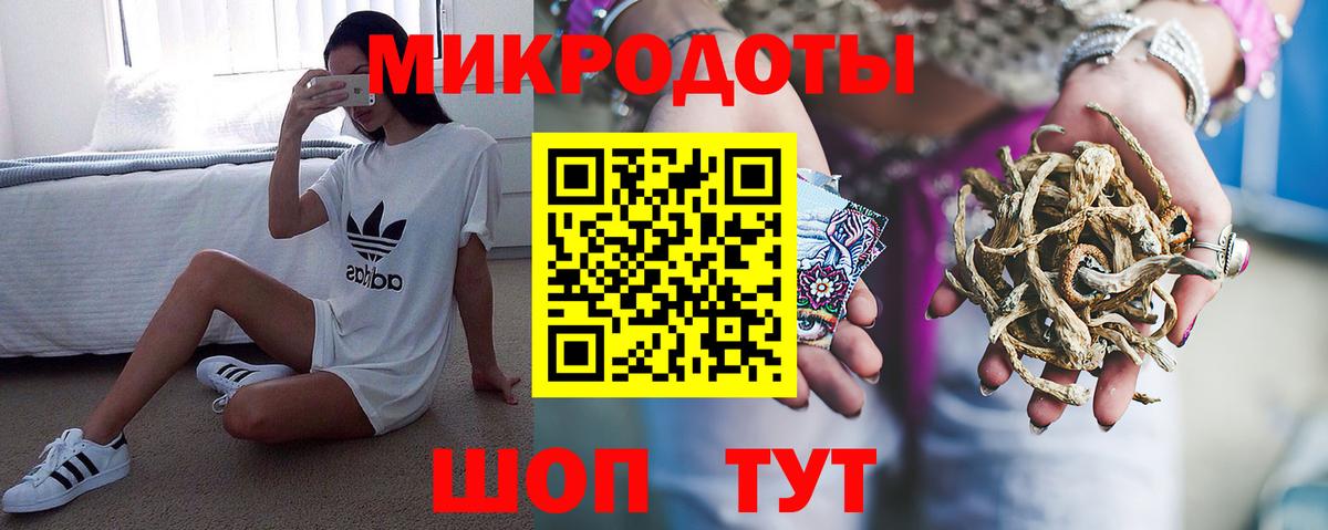Галлюциногенные грибы Cubensis Алейск